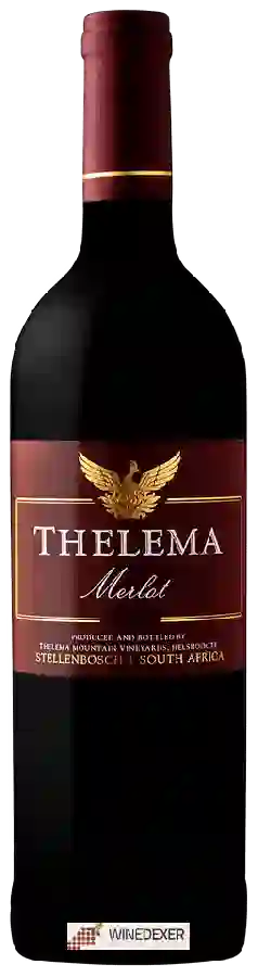 Winery Thelema - Merlot Winery Thelema - Merlot