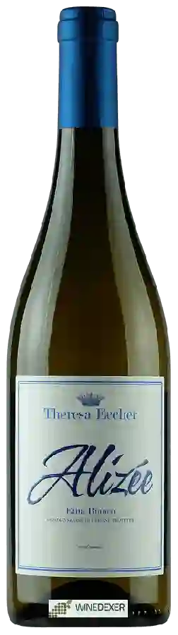 Winery Theresa Eccher - Alizée Etna Bianco