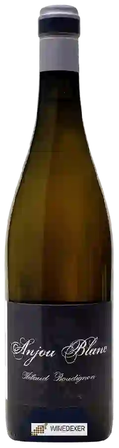 Winery Thibaud Boudignon - Anjou Blanc Winery Thibaud Boudignon - Anjou Blanc