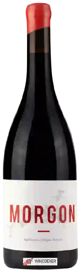 Winery Thibault Ducroux - Morgon