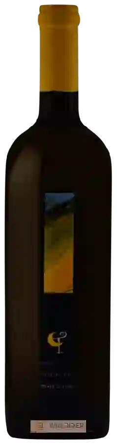 Winery Thierry Constantin - Petite Arvine