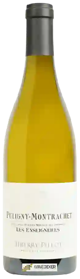 Winery Thierry Pillot - Puligny-Montrachet 'Les Enseignères'