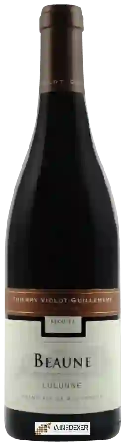 Winery Thierry Violot-Guillemard - Beaune Lulunne