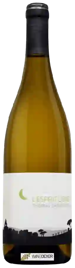 Winery Thomas Batardière - L'Esprit Libre