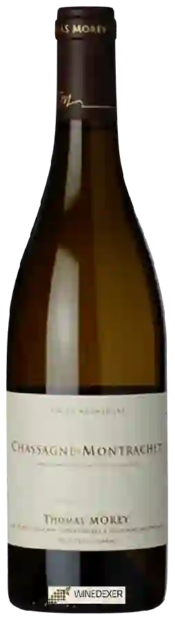 Winery Thomas Morey - Chassagne-Montrachet Winery Thomas Morey - Chassagne-Montrachet