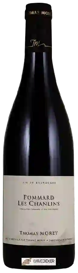 Winery Thomas Morey - Pommard 1er Cru 'Les Chanlins' Winery Thomas Morey - Pommard 1er Cru 'Les Chanlins'