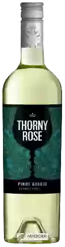 Winery Thorny Rose - Pinot Grigio