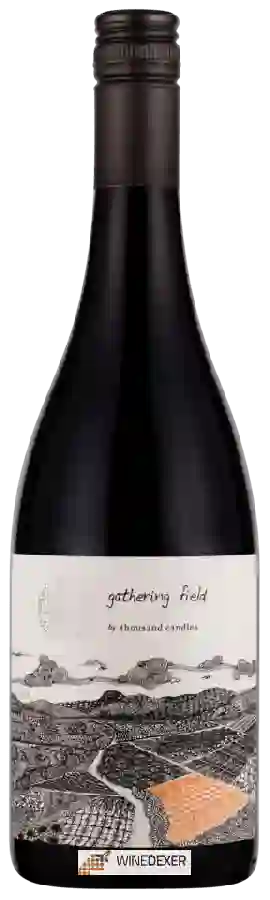Winery Thousand Candles - Gathering Field Pinot Noir Winery Thousand Candles - Gathering Field Pinot Noir