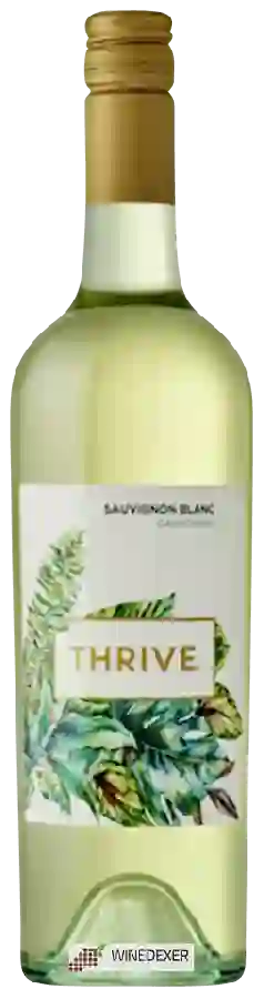 Winery Thrive - Sauvignon Blanc