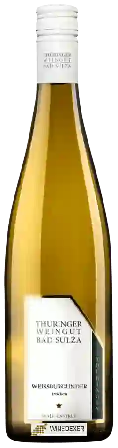 Winery Thüringer Weingut - Thüringen Weissburgunder Trocken