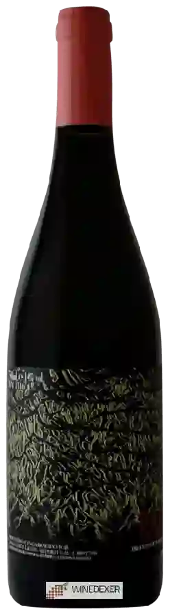 Winery Tiago Teles - Raiz Tinto Winery Tiago Teles - Raiz Tinto