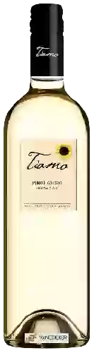 Winery Tiamo - Pinot Grigio