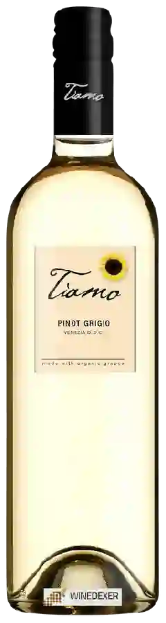 Winery Tiamo - Pinot Grigio Winery Tiamo - Pinot Grigio