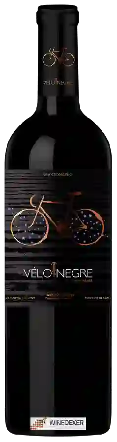 Winery Tianna Negre - Vélo Negre