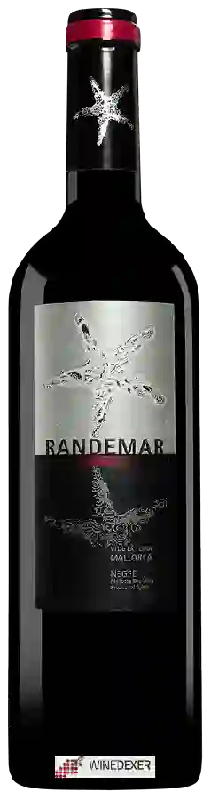 Winery Tianna Negre - Randemar Negre