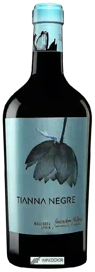 Winery Tianna Negre - Tinto