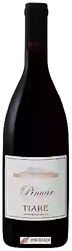 Winery Tiare - Pinuàr