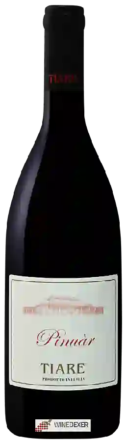 Winery Tiare - Pinuàr Winery Tiare - Pinuàr
