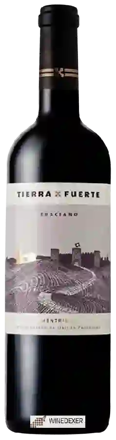Winery Tierra Fuerte - Graciano