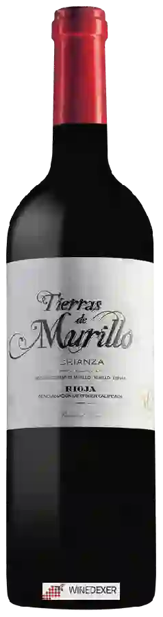 Bodegas San Esteban - Tierras de Murillo Crianza Bodegas San Esteban - Tierras de Murillo Crianza