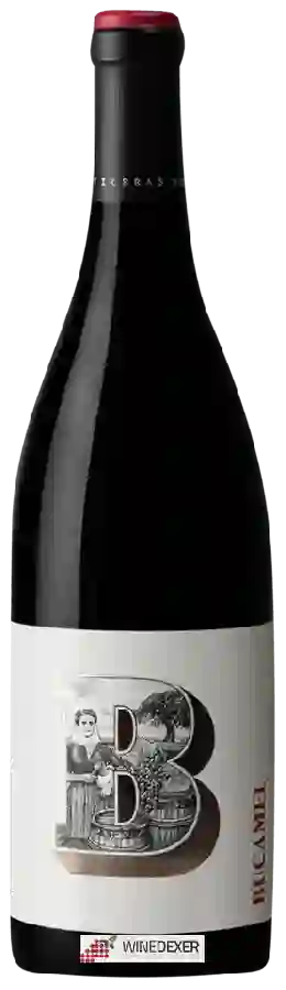 Winery Tierras de Orgaz - Bucamel Tinto