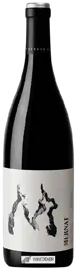 Winery Tierras de Orgaz - Mernat