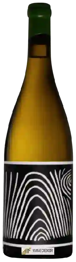 Winery Tillingham - End Grain Winery Tillingham - End Grain