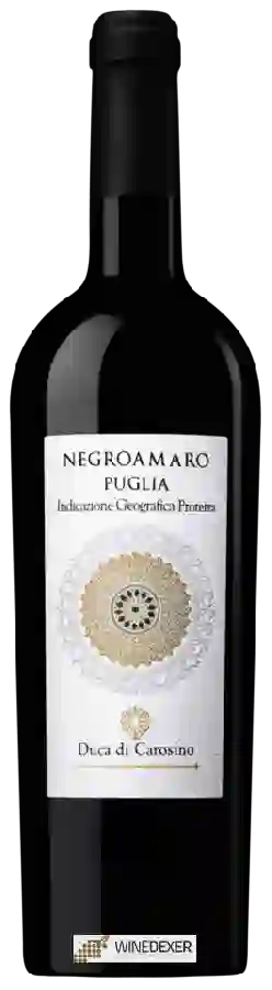 Winery Tinazzi - Duca di Carosino Negroamaro