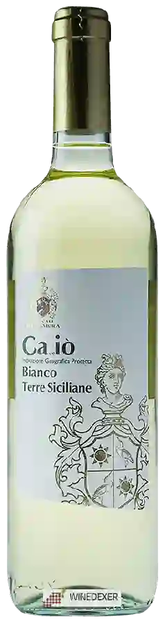 Winery Tinazzi - Ca de lo Bianco