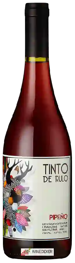 Winery Tinto de Rulo - Pipeño