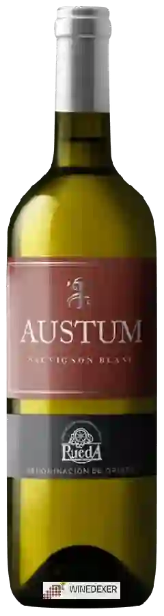 Bodegas Tionio - Austum Sauvignon Blanc Bodegas Tionio - Austum Sauvignon Blanc