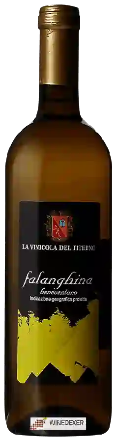 Winery La Vinicola del Titerno - Falanghina Beneventano Winery La Vinicola del Titerno - Falanghina Beneventano