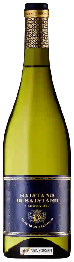 Winery Salviano Titignano - di Salviano