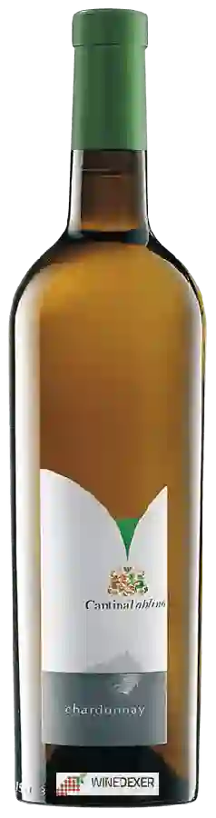 Winery Cantina Toblino - Chardonnay