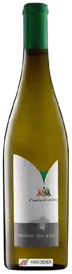 Winery Cantina Toblino - Müller Thurgau Winery Cantina Toblino - Müller Thurgau