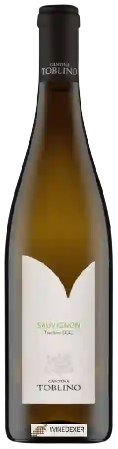 Winery Cantina Toblino - Sauvignon