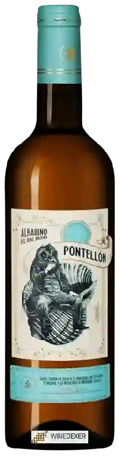 Winery Tollodouro - Pontellón Albari&ntildeo