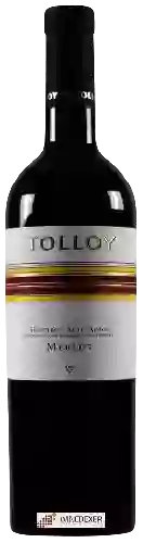 Winery Tolloy - Merlot