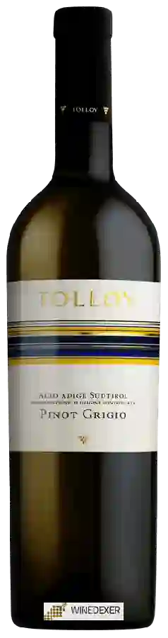 Winery Tolloy - Pinot Grigio Winery Tolloy - Pinot Grigio