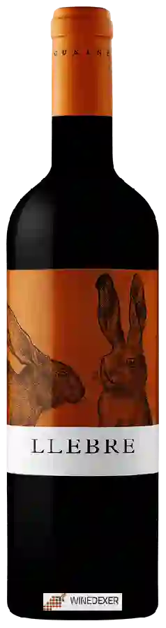 Winery Tomàs Cusiné - Llebre