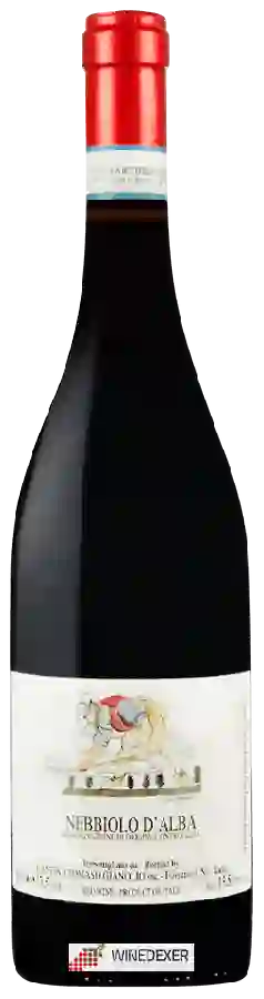 Winery Tomaso Gianolio - Nebbiolo d'Alba Winery Tomaso Gianolio - Nebbiolo d'Alba