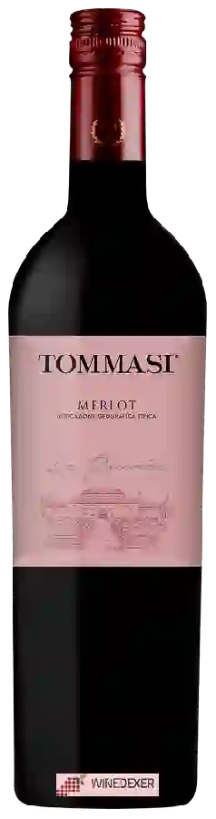 Winery Tommasi - Le Pruneé Merlot