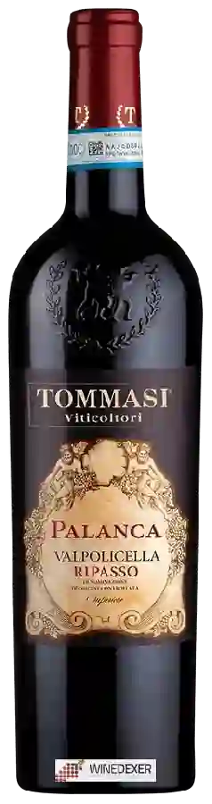 Winery Tommasi - Palanca Valpolicella Ripasso Superiore