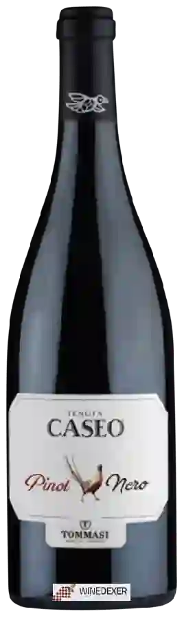 Winery Tommasi - Tenuta Caseo Pernice Rosso Pinot Nero Winery Tommasi - Tenuta Caseo Pernice Rosso Pinot Nero