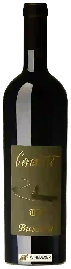 Winery Bussola - L'Errante