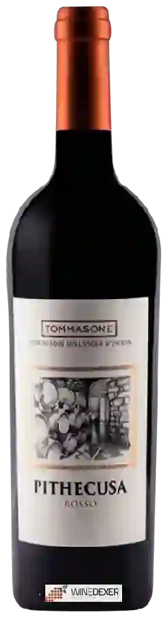 Winery Tommasone - Pithecusa Rosso Winery Tommasone - Pithecusa Rosso