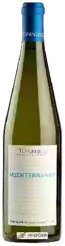 Winery Tonnino - Mediterraneo