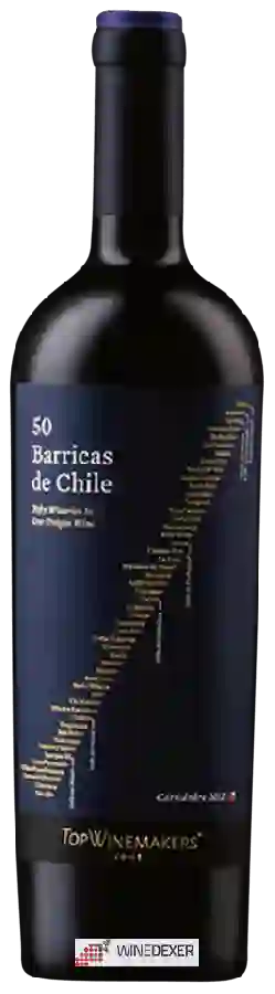 Winery Top Winemakers - 50 Barricas de Chile Carménère Winery Top Winemakers - 50 Barricas de Chile Carménère