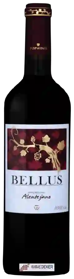 Winery TopWines - Bellus