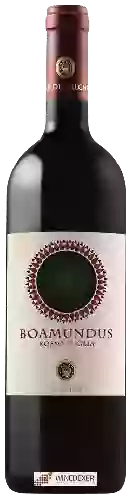 Winery Tor de' Falchi - Boamundus Rosso